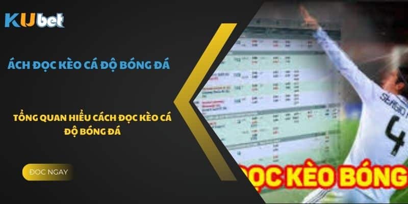 Tổng quan hiểu cách đọc kèo cá độ bóng đá