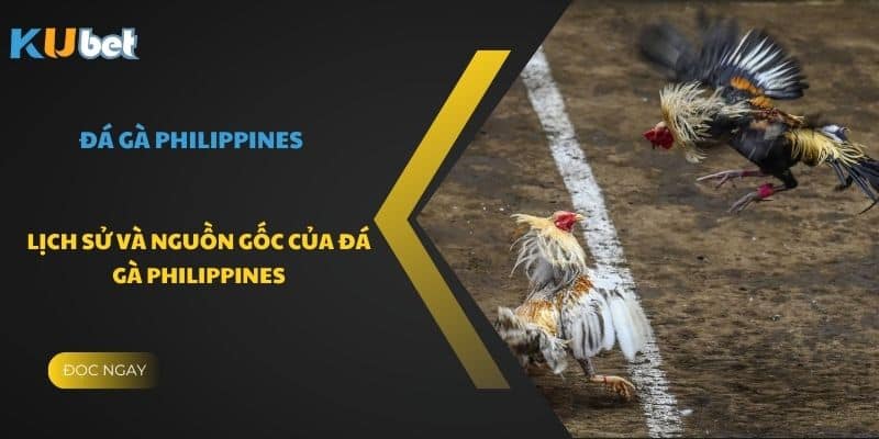 Lịch sử và nguồn gốc của đá gà Philippines