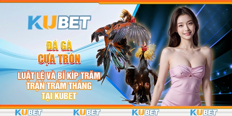 đá gà cựa tròn