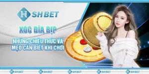 Xóc Đĩa Bịp - Những Chiêu Thức Và Mẹo Cần Biết Khi Chơi