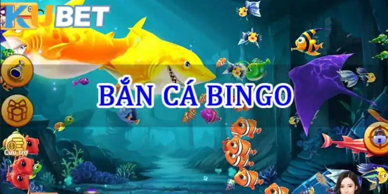 Bắn cá Bingo tại Kubet cuốn hút thành viên